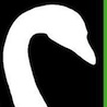 Black Swan Green Book cover