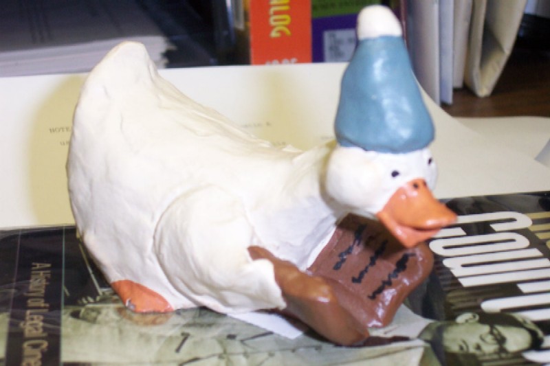 Library Duck